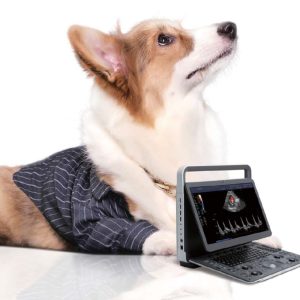 Veterinary Colour Doppler Ultrasound System E1 Exp
