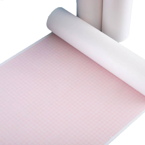LESSA ECG Paper Roll 210 mm x 30 m for Fukuda ECG Devices