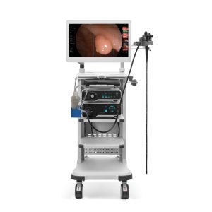 SonoScape HD 500 Endoscopy System